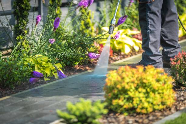 Best Driveway Pressure Washing  in Bloomingdale, IL