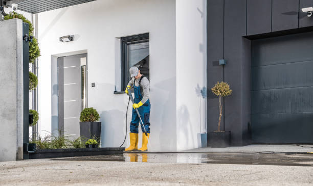 Best Fence Cleaning  in Bloomingdale, IL